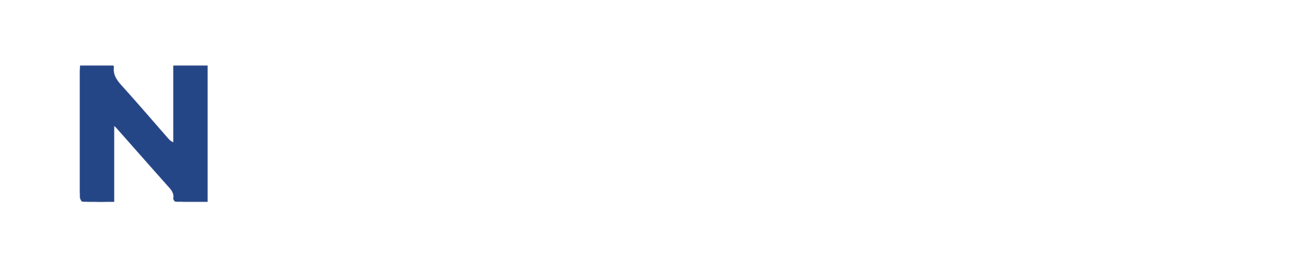 Logo PT Nano SNG